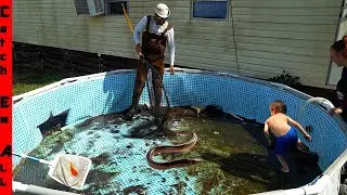 DRAINING POOL FILLED with EXOTIC FISH!