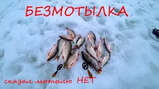 СОРОГА НА БЕЗМОТЫЛКУ И БОЛЬШЕ НИКАКОГО МОТЫЛЯ!! ЛОВЛЯ ПЛОТВЫ ВЕСНОЙ