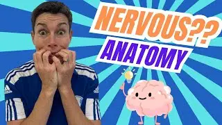 Want to Learn the Nervous System? Watch This Now!