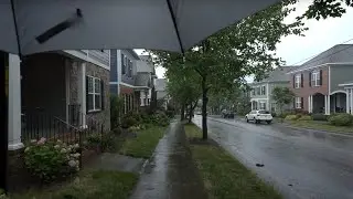 Relaxing American Neighborhood Walk in the Rain | Nature Sounds for Sleep and Study