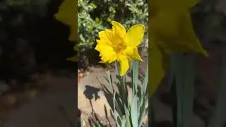 1 апреля!!! Всем Мира и добра❤️