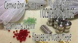 Посылка из Китая. AliExpress. Магнитные концевики, сетка для жгутов, кристаллы 2х3 мм.