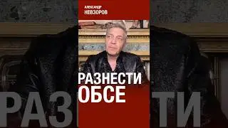 Заявлять о выходе из ОБСЕ нужно было не слуцкому #невзоров