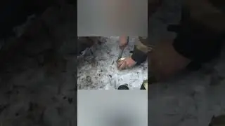 РАДИ ЭТОГО СТОИТ ЖИТЬ