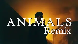 Martin Garrix - Animals [ Remix ]