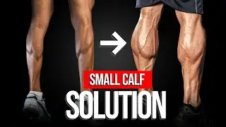 How To Get Bigger Calves: The Best Training Program And Techniques