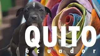 Traveling to QUITO Ecuador Highlights