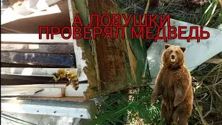 Поехал проверять ловушки на бродячие рои