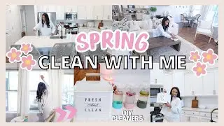 ALL DAY SPRING CLEAN WITH ME | HOMEMADE CLEANING PRODUCTS // LoveLexyNicole