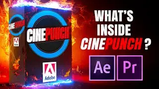 Whats Inside CINEPUNCH for Premiere Pro?