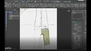 3ds max- simple character modeling- tutorial 1-pelvis