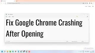 Fix Google Chrome Crashing After Opening