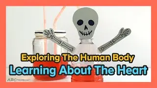 STEM Activity: "Exploring the Human Body: Learning about the Human Heart" by ABCmouse.com