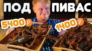 Славный Обзор ЖИВЫХ ЧЛЕНИСТОНОГИХ! Нестандартная ДОСТАВКА ЗАКУСИ. =)