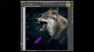 How to Remove Watermark in Photoshop #shorts #photoshop