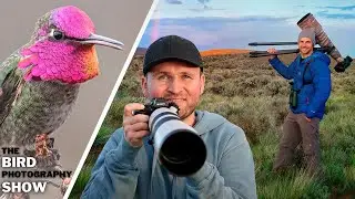 Set Ups For ANY Location + Hummingbirds: Everyday Bird Photography Hacks!