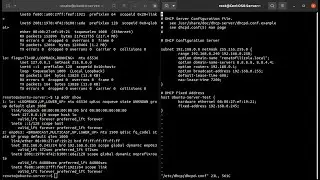Linux Server - DHCP Server from Scratch