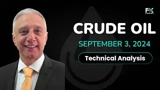 Crude Oil Drops Below Key Support: Forecast & Technical Analysis by Bruce Powers (September 03)