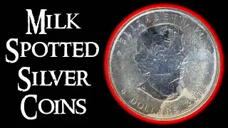 Milk Spotted Silver Coins - Does Milk Spotting Affect Value?