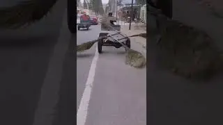 движуха