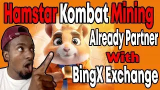 Hamstar Kombat Mining - Partnership With BingX Exchange | Everything Explained (Airdrop)