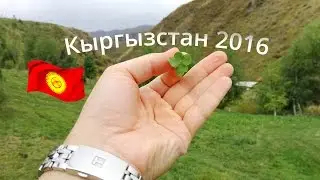 Кыргызстан 2016 - Бишкек, горы, кумыс и бизнес на клевере