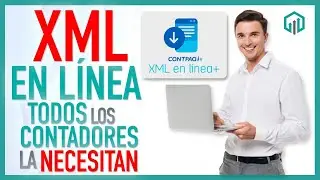 Cómo administrar los CFDI para contabilidad y papeles de trabajo con XML en línea