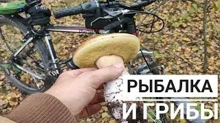 Еду на рыбалку на велосипеде. Собрал грибы.