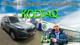 Skoda Kodiaq ЕГР Чип Тюнинг Ремонт на 300000+ Отказ в Гарантии