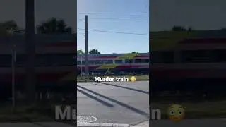 Well brightline killed another person yesterday￼