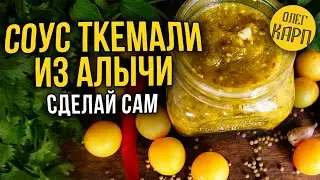 Соус Ткемали из Алычи.  Обалденный рецепт для применения.