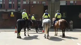 Met Police Mounted Brach