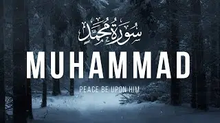 Surah Muhammad سورة محمد  (TRANQUILITY)