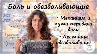 Боль: механизмы, пути передачи и правила лечения
