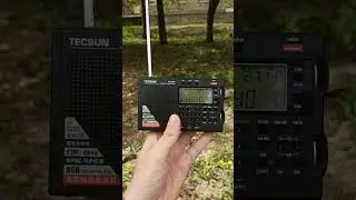 Россия возобновила вещание на коротких волнах! 11840 кГц, 25 метров! 📻