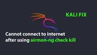 KALI FIX: Cannot connect to internet after using airmon-ng check kill