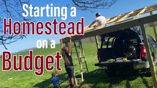 💰The EXACT COSTS of Starting a Homestead from Scratch on a Budget 🐓#offgrid #homestead