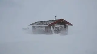 Heavy Snowstorm Sounds For Sleeping, Relaxing ~ Blizzard Snow Howling Wind Winter Storm Ambience