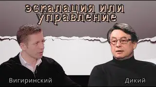 Почему разрешили бить? Единство НАТО шатают Турция, Венгрия. Одинокий Макрон. Дикий, Вигиринский