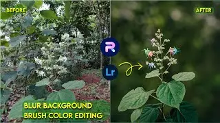 Blur Image Background | Mobile Photo Editing Tutorial | Lightroom Color Grading | PhotoRoom Edit