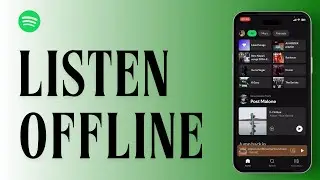 How To Listen Music On Spotify Offline