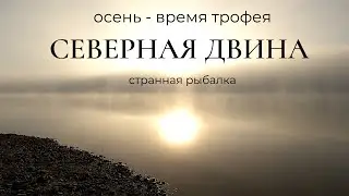 Хапнули жереха