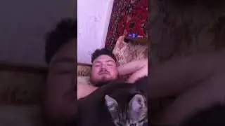Тихий час