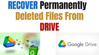 Recover Permanently Deleted Files and Folders From Google Drive, Recover Photos From Google Drive.