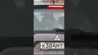 Ребенок, который мечтает о собаке, смотрит на впереди стоящее авто, в котором сидит его мечта...