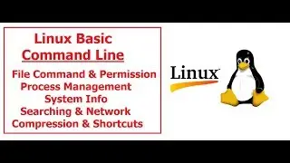 Linux Basic Command  Line