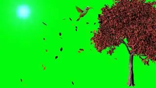 #GREEN SCREEN TREE #TREELEAFFALL /BIRD FLY/BACKGROUND VIDEO@@