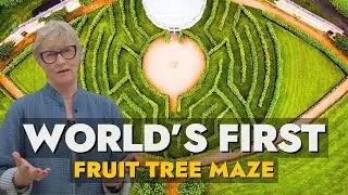 The STUNNING Gardens Home To The Worlds Only Fruit Tree Maze!