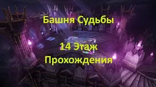 Лост Арк. Башня Судьбы 14 этаж Прохождения. Гайд