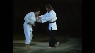 chuck norris jujitsu performance